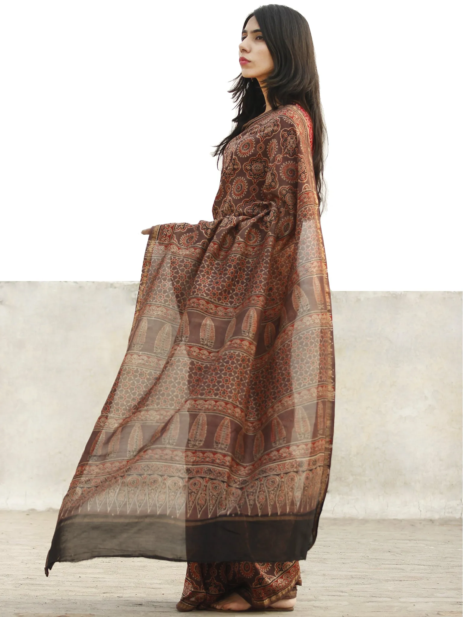 Brown Red Black Chanderi Silk Ajrakh Hand Block Printed Saree With Zari Border - S031702650