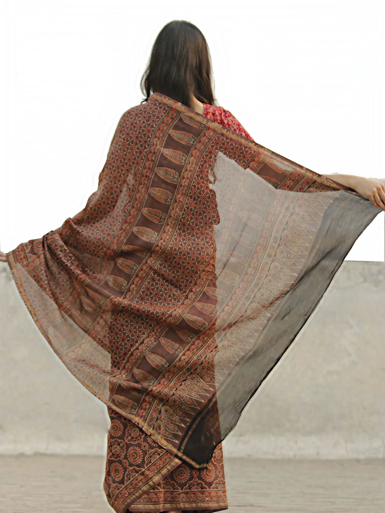 Brown Red Black Chanderi Silk Ajrakh Hand Block Printed Saree With Zari Border - S031702650