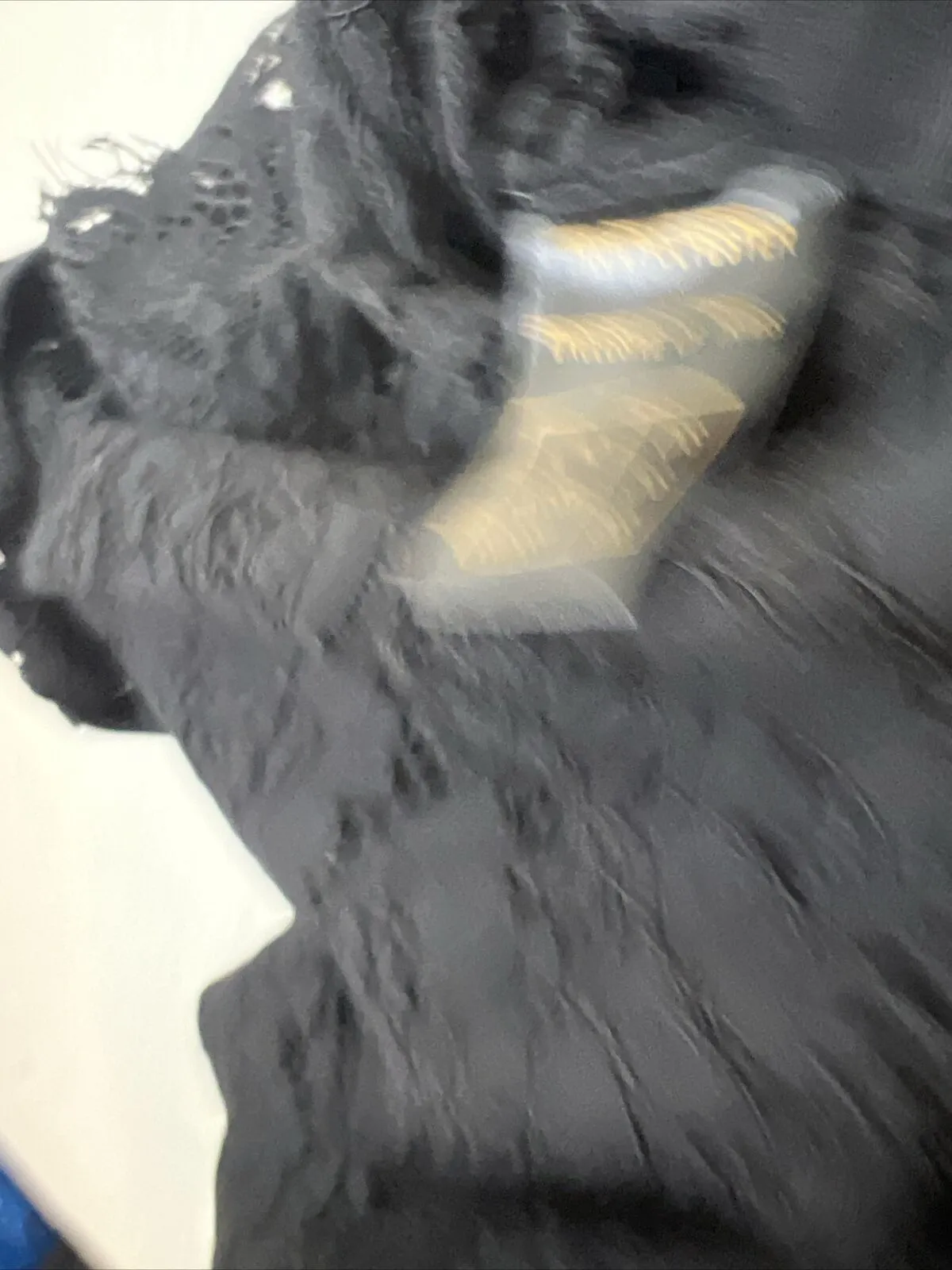 The Blonde Womens Black Lace Dressing Gown Robe Kimono Size One Size